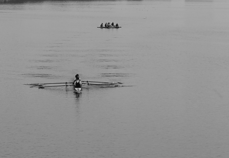 Hamburg / Ruderer auf der Aussenalster