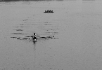 Ruderer auf der Aussenalster