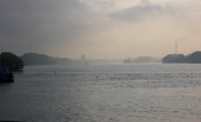 rhein bei wiesbaden